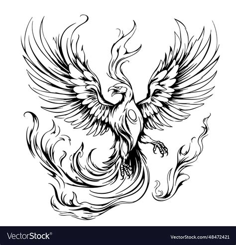 Phoenix Hand Drawn Sketch Mythical Birds Vector Image