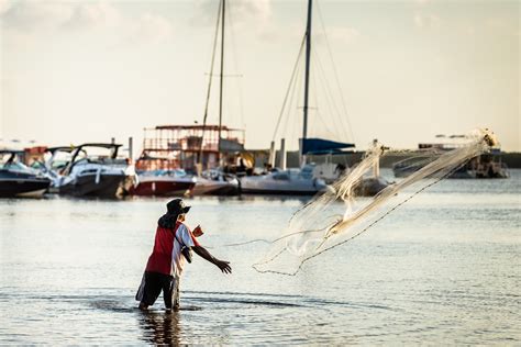 Pesca Sustent Vel