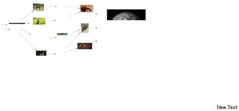 Food Chain Insight Maker