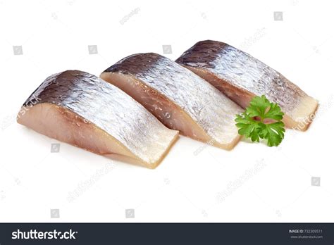 18 Mackerelfish Images, Stock Photos, 3D objects, & Vectors | Shutterstock