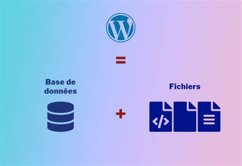 Comment Changer La Base De Donn Es Wordpress Nora Cheikh