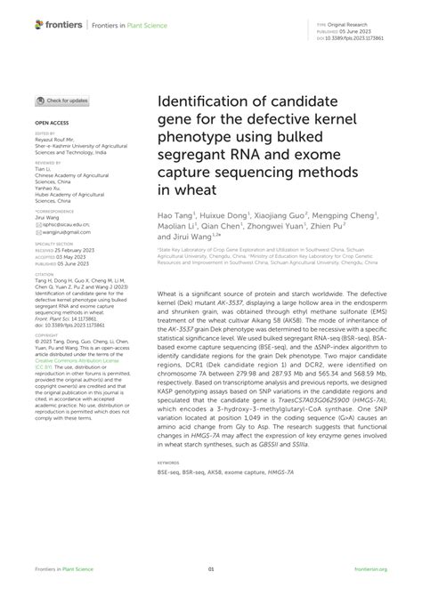 PDF Identification Of Candidate Gene For The Defective Kernel