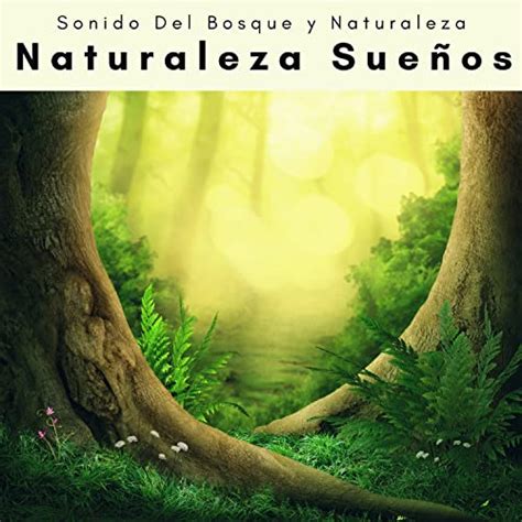 A h o r a Naturaleza Sueños von Sonido Del Bosque y Naturaleza bei