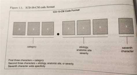 Chapter 1 Intro To ICD 10 CM Flashcards Quizlet