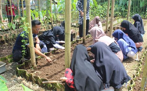 Latih Keterampilan Berkebun Ekstrakurikuler Hortikultura Aabs