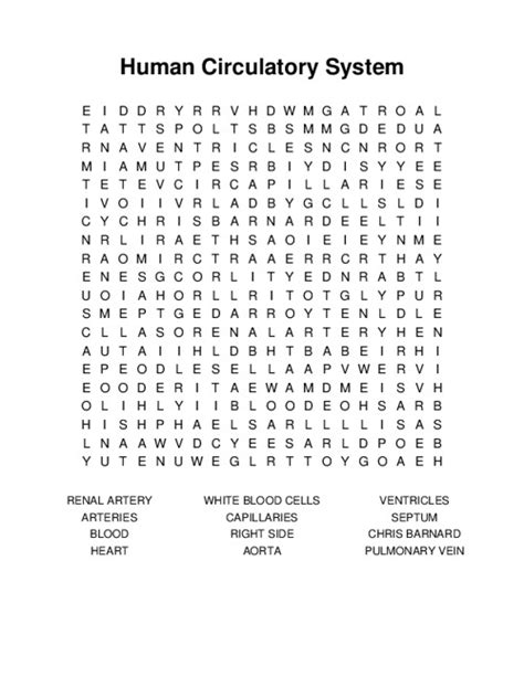 Human Circulatory System Word Search