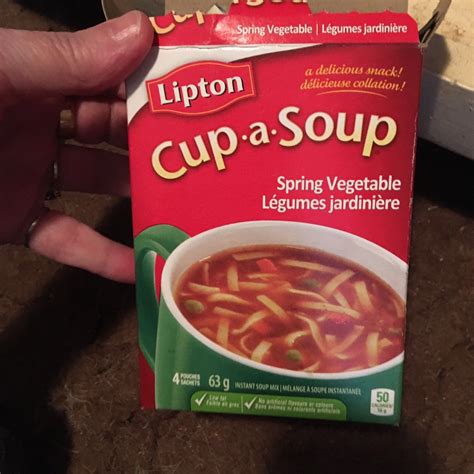 Lipton Spring Vegetable Soup Reviews Abillion