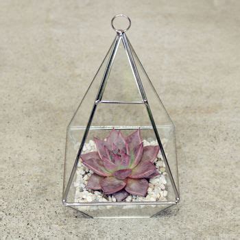 Pyramid Shaped Glass Vase Succulent Terrarium By Dingading