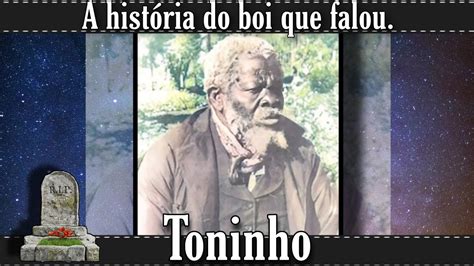 T Mulo De Toninho Do Boi Fal Cemit Rio Da Saudade Campinas S O