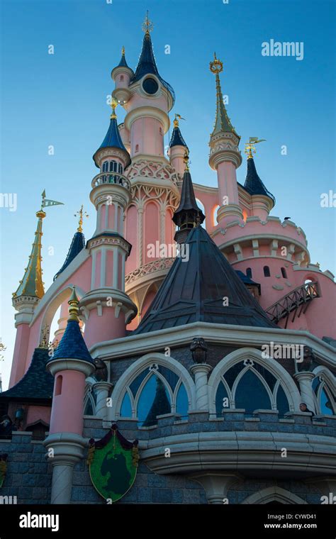 Sleeping Beauty Castle Disneyland Back