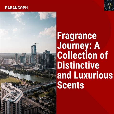 Fragrance Odyssey: A Collection of Iconic and Modern Scents – PabangoPH