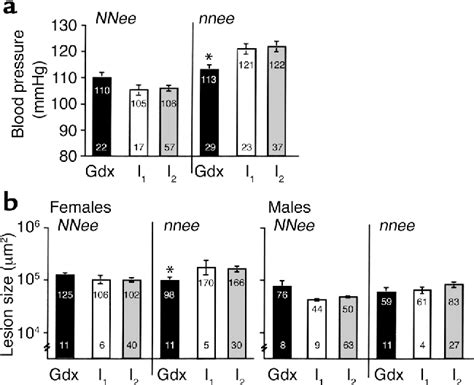 Figure 1 From Interactions Between Endothelial Nitric Oxide Synthase