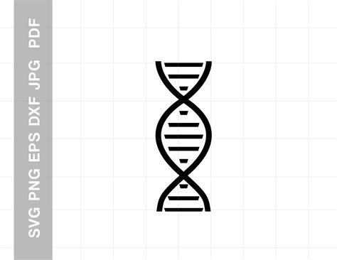 Dna Svg Dna Svg Files Silhouette Cut File Dna Dxf Vinyl Dna Etsy