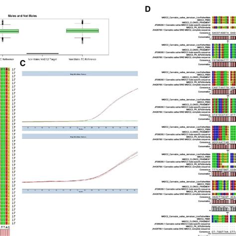 Male Plant Sex Marker Analysis By Qpcr And Sequencing A Box Plot Download Scientific Diagram