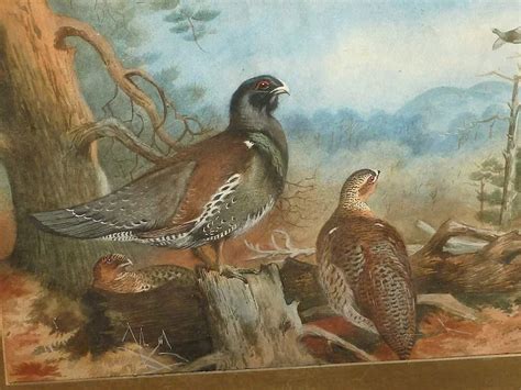 Watercolor Painting Of Game Birds In Landscape After Scottish Artist