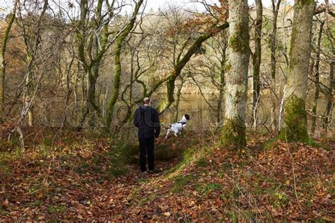 Mand Med Hund I Skoven Ser Ud Over Stock Foto Colourbox