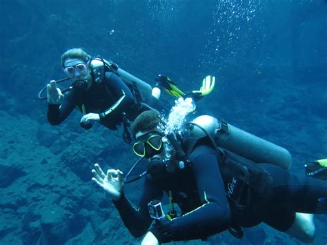 Fotos Gratis Buceo Biolog A Laguna Azul Arrecife Deportes