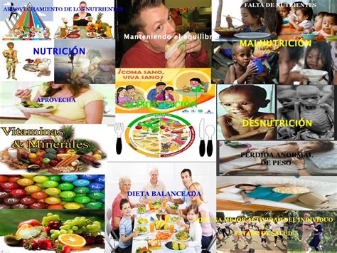 Calaméo Educacion Fisicanutriciónmalnutricióndesnutrición