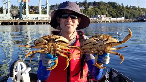 Crabbing In Puget Sound Everett Underwater Gopro Youtube