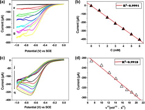 A Cyclic Voltammograms Of Agau Npsgce In N2 Saturated 01 M Pbs Ph