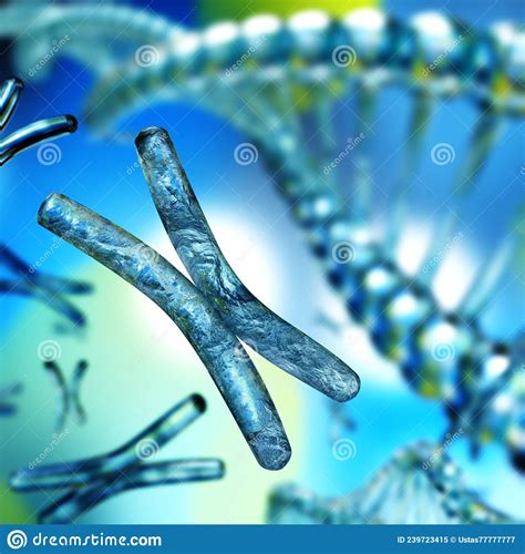 Chromosomen X Chromosoom Dicht Bij Een Wazig Menselijk Genoom D Dat