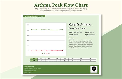 Peak Flow Tracking Chart in Excel, Google Sheets - Download | Template.net