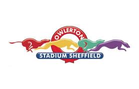 Owlerton Greyhound Betting – The Ultimate Review