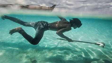 Qué Sucedería Si Pudiéramos Respirar Bajo El Agua Biocurioso