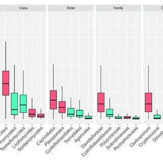 Boxplot Showing Total Relative Abundance Of Reads Of The Five Most