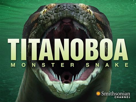 Watch Titanoboa Monster Snake HD Wallpaper Pxfuel