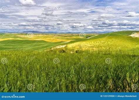 Palouse Region of Washington Stock Photo - Image of outdoor ...