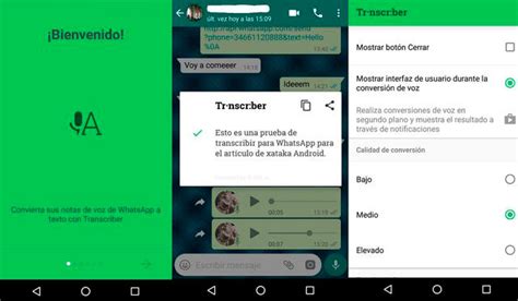 Truco Para Transcribir Los Mensajes De Voz De Whatsapp A Texto