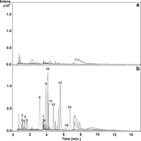 UHPLC QTOF Chromatograms EIC In Negative Mode Using The Quantification