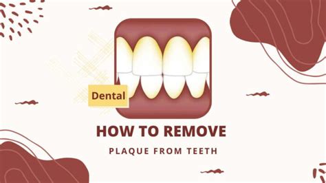 8 Easy Ways How To Remove Plaque From Teeth 2024