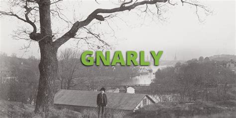 Gnarly Meaning » Slang term definition & example usage » Slang.org