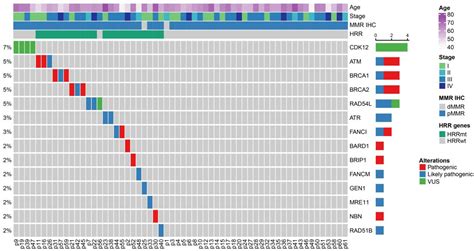 Cells Free Full Text Prevalence And Prognostic Relevance Of Homologous Recombination Repair