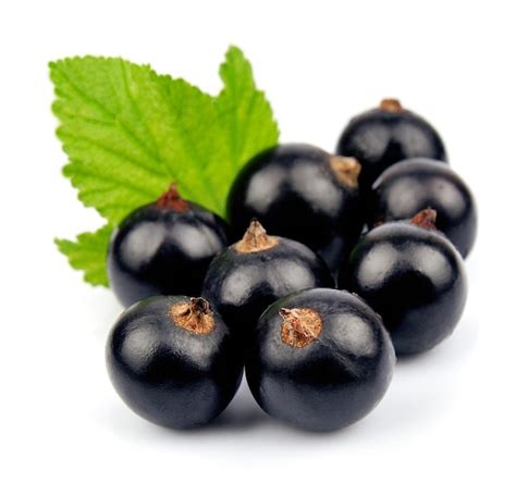 Premium Photo Black Currant