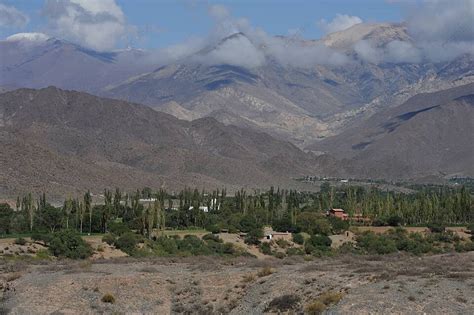 cachi  pictures  background images