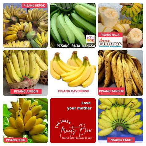 Jual Buah Pisang Kita Pisang Ambon Pisang Cavendish Pisang Raja