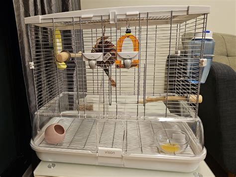 Brand New Vision M01 Bird Cage Pet Supplies Homes And Other Pet