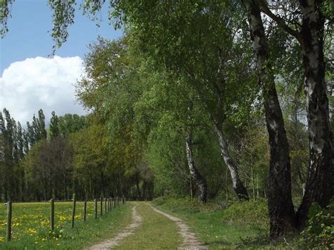 Wandelroute Door Het Groot Huisven Heeze Te Noord Brabant