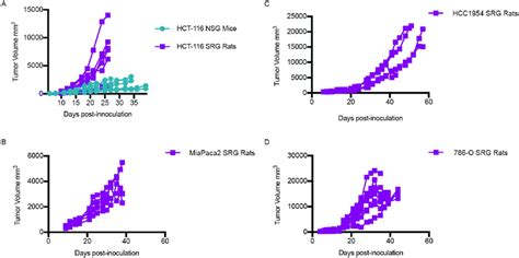 Xenograft models in the SRG rat and NSG mouse. A) Tumor growth curve in... | Download Scientific ...