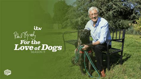 How To Watch Paul Ogrady For The Love Dogs Season 11 In South Korea