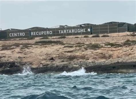 La Casa Delle Tartarughe Marine A Lampedusa Si E Fermata