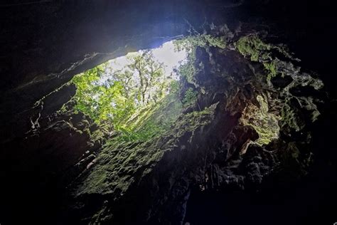 Höhlenerkundung im Mulu Nationalpark Aktivitäten Touren Infos