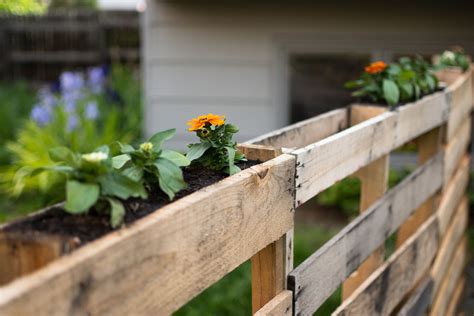 Reusing Wooden Pallets In The Garden Fasci Garden