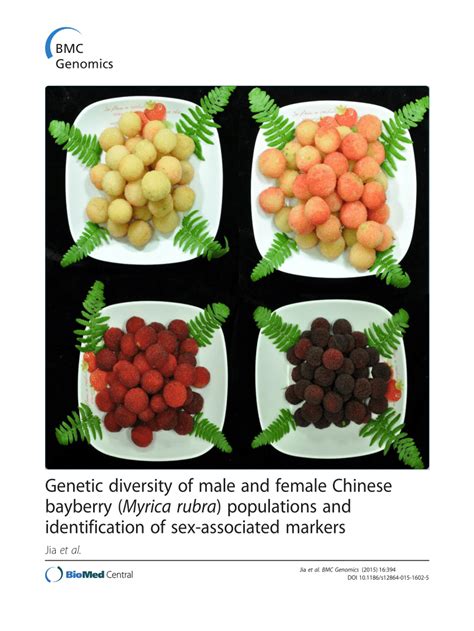 Pdf Genetic Diversity Of Male And Female Chinese Bayberry Myrica