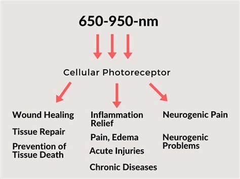 How To Use Infrared Therapy For Back Pain Relief At Home