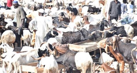 Eid El Kabir Fg Declares Tuesday Wednesday As Public Holidays Thecable