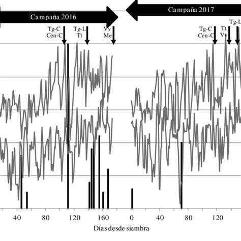 Evolución De La Temperatura Máxima Y Mínima Diaria Y Precipitaciones Download Scientific